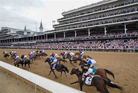 best trifecta bet for preakness